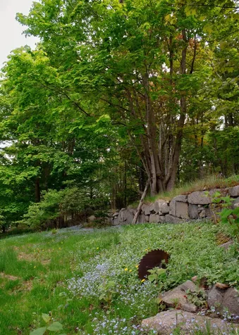 46 Atlantic Avenue Vinalhaven ME 04863