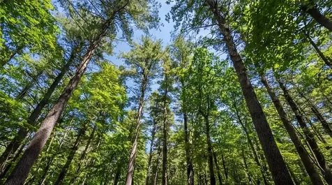 631 Johnson Hill Road Poland ME 04274