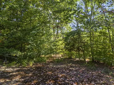 27 Lynn Drive Parsonsfield ME 04047