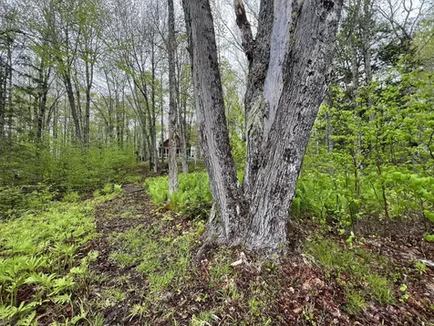 2 S Union River Road Mariaville ME 04605
