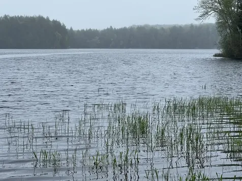 2 S Union River Road Mariaville ME 04605