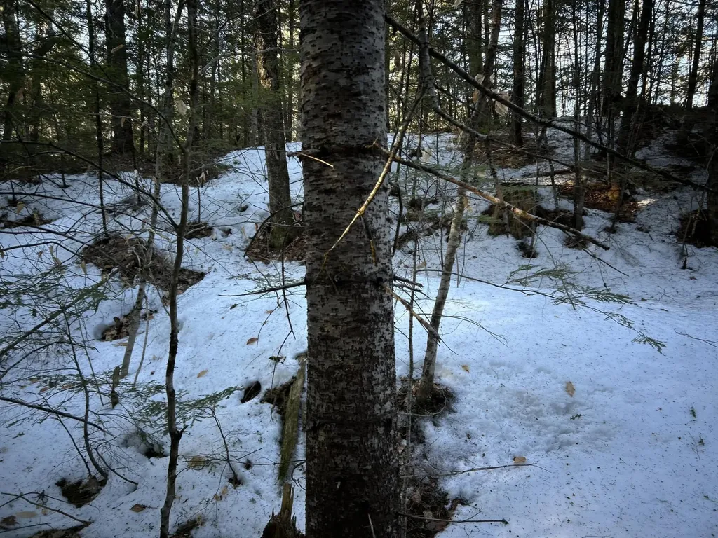 MAP13LOT11 Field View Road Fryeburg ME 04037