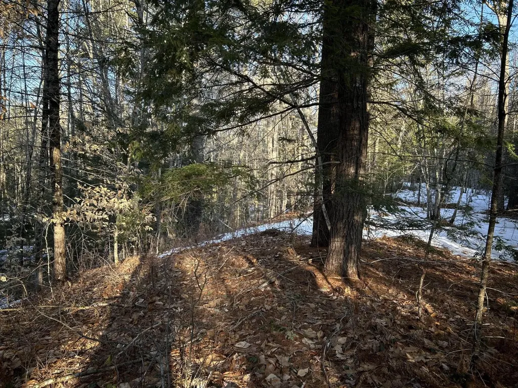 MAP13LOT11 Field View Road Fryeburg ME 04037