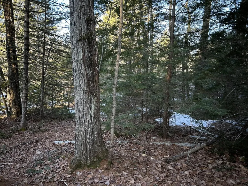 MAP13LOT11 Field View Road Fryeburg ME 04037