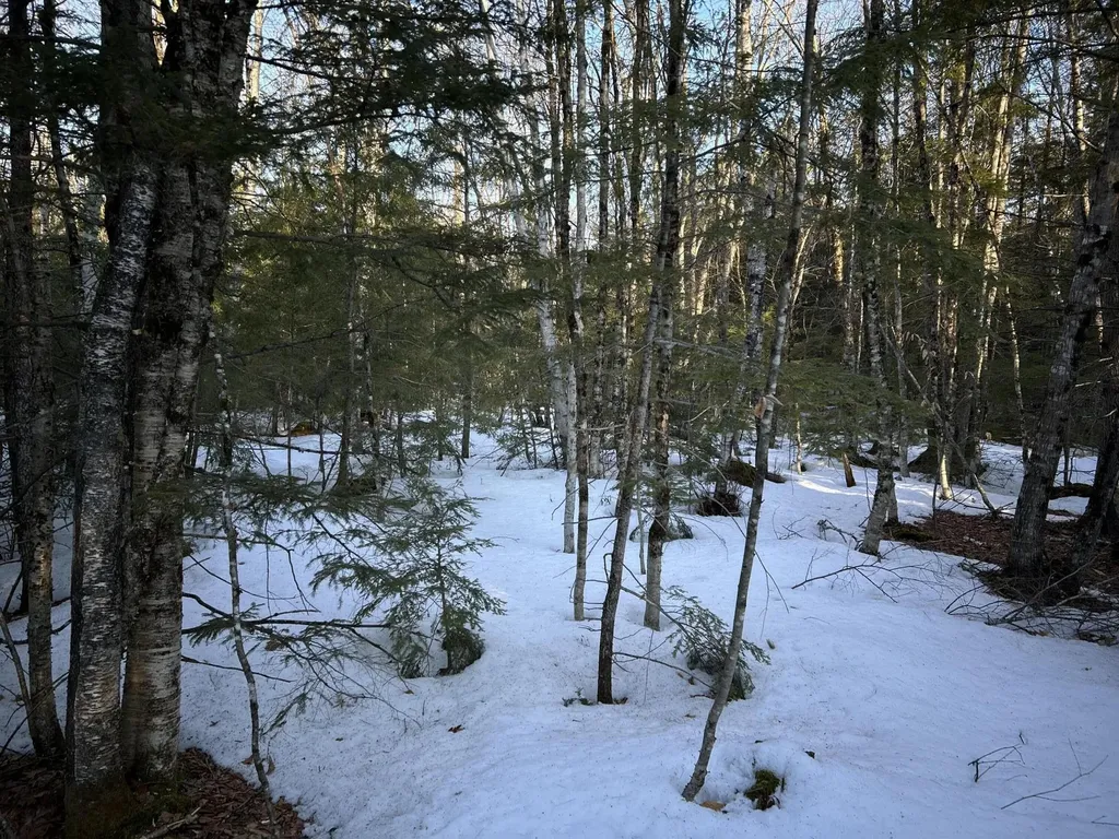 MAP13LOT11 Field View Road Fryeburg ME 04037