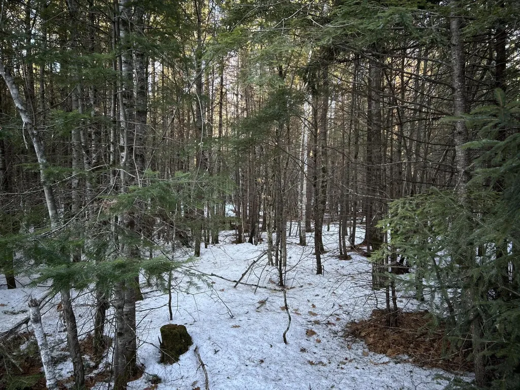 MAP13LOT11 Field View Road Fryeburg ME 04037