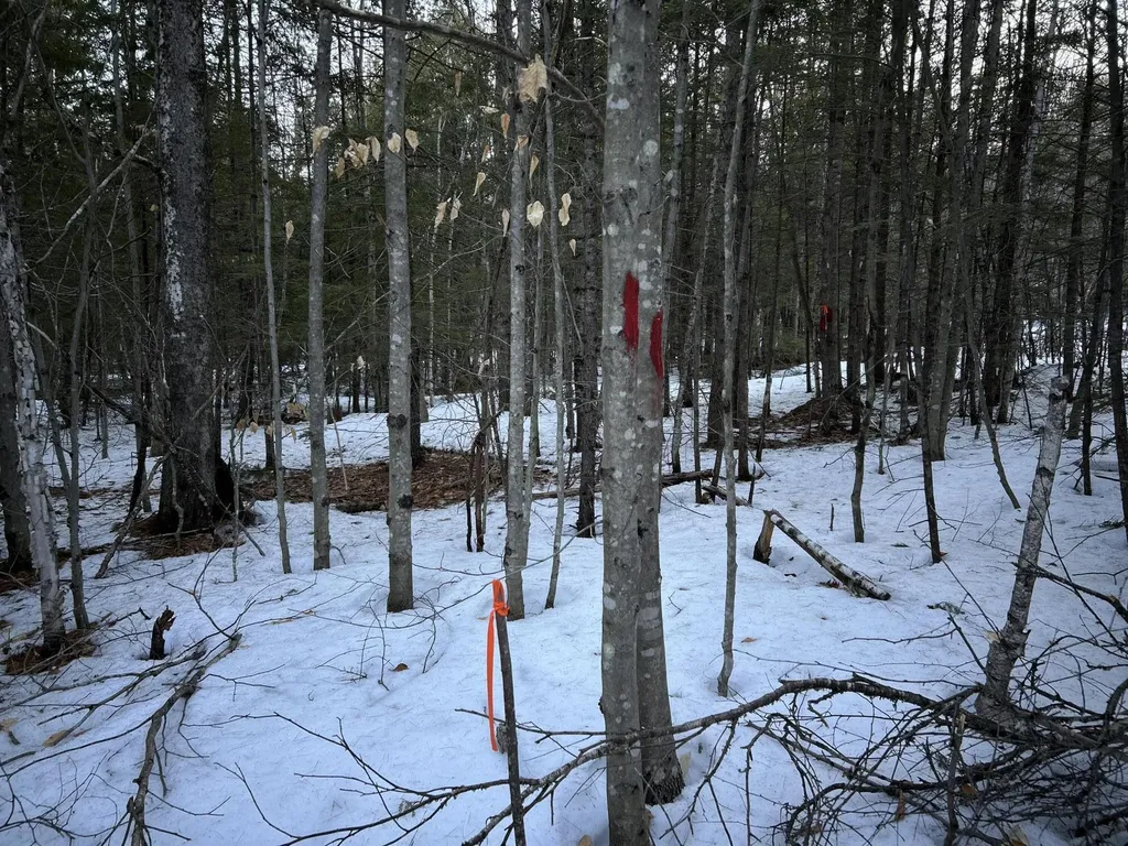 MAP13LOT11 Field View Road Fryeburg ME 04037
