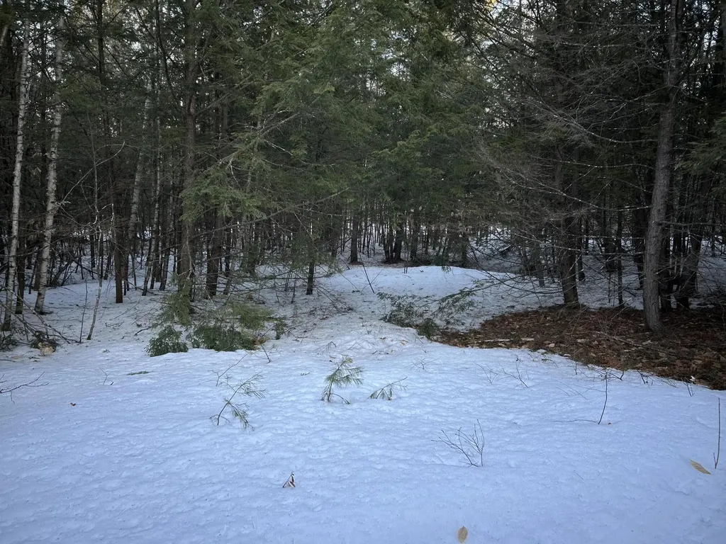 MAP13LOT11 Field View Road Fryeburg ME 04037