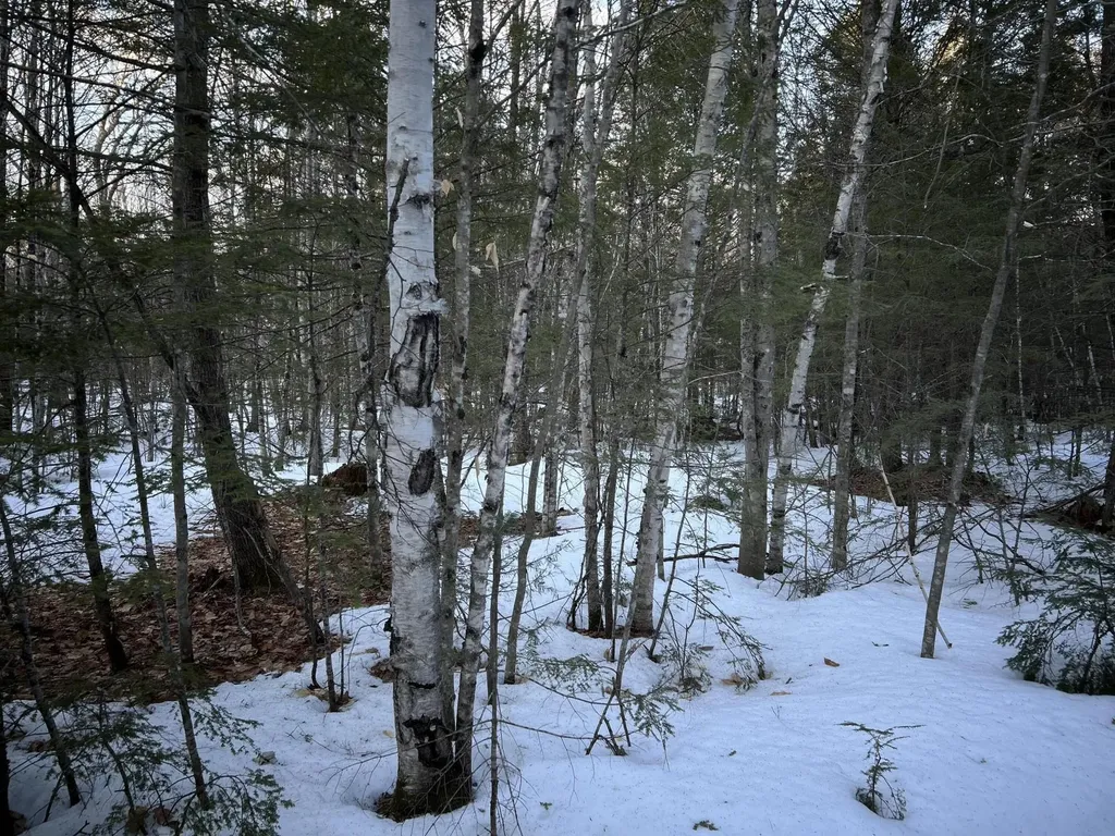 MAP13LOT11 Field View Road Fryeburg ME 04037