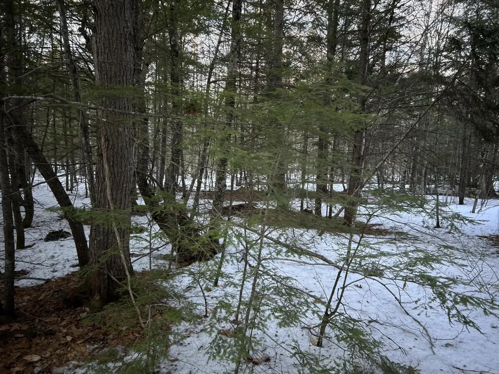 MAP13LOT11 Field View Road Fryeburg ME 04037