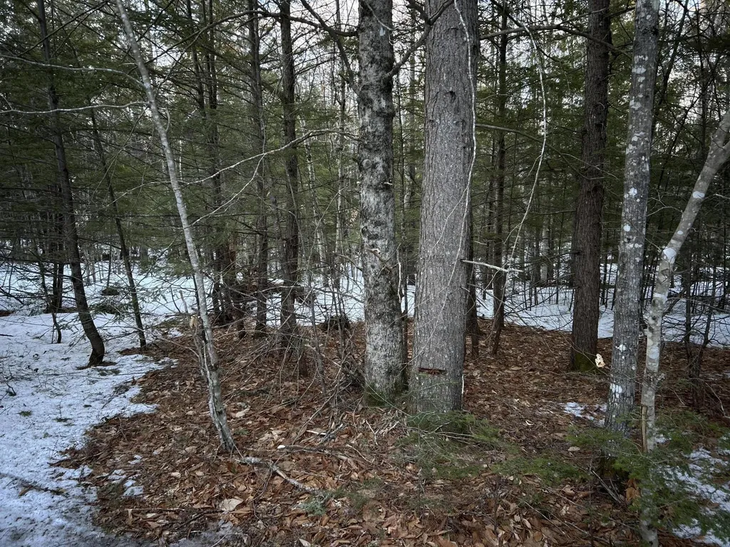MAP13LOT11 Field View Road Fryeburg ME 04037