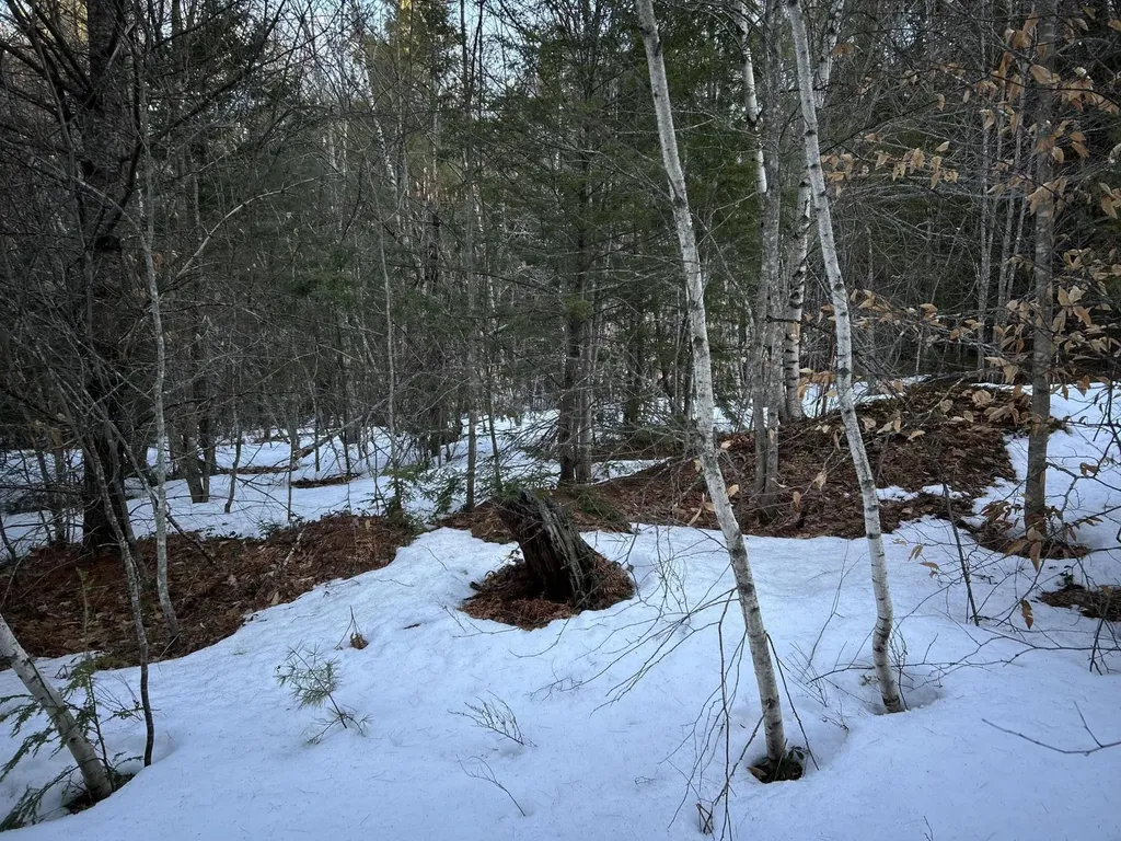 MAP13LOT11 Field View Road Fryeburg ME 04037