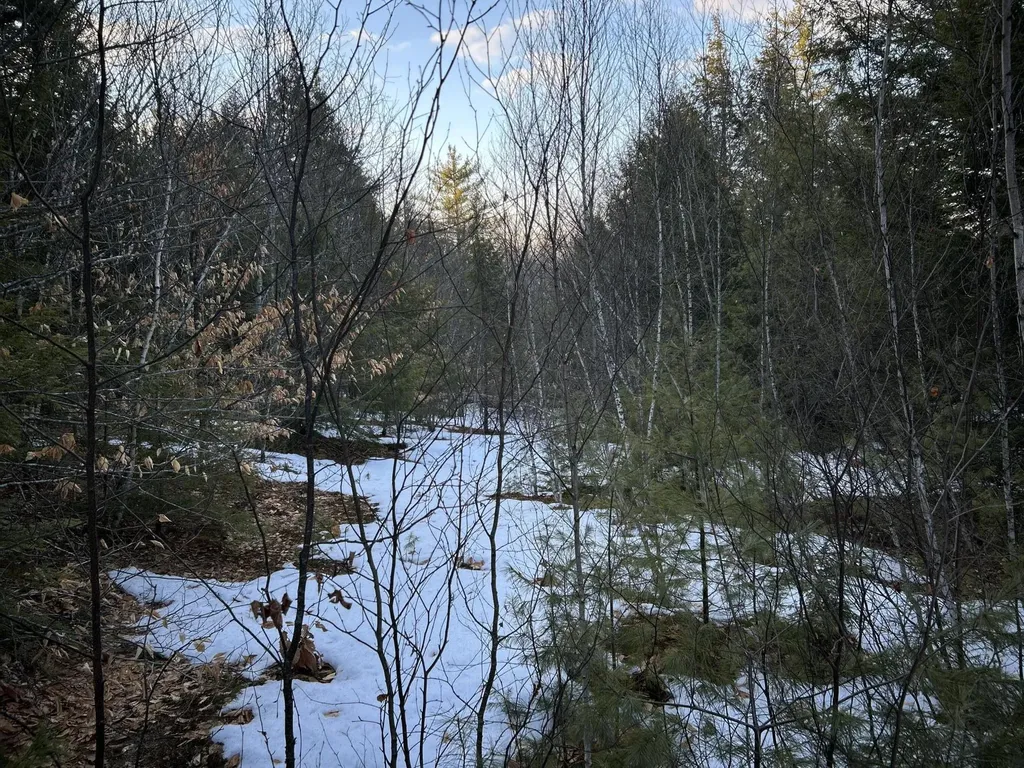 MAP13LOT11 Field View Road Fryeburg ME 04037