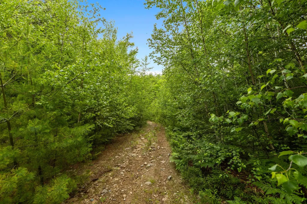 MAP13LOT11 Field View Road Fryeburg ME 04037