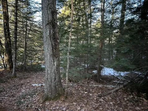 MAP13LOT11 Field View Road Fryeburg ME 04037