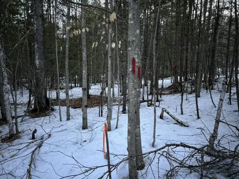 MAP13LOT11 Field View Road Fryeburg ME 04037
