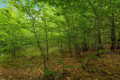 MAP13LOT11 Field View Road Fryeburg ME 04037