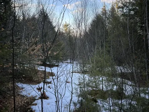 MAP13LOT11 Field View Road Fryeburg ME 04037