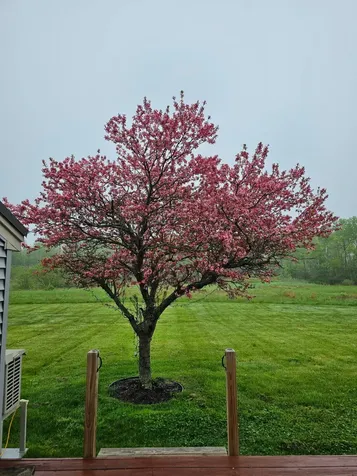 36 Meadowbrook Drive Gorham ME 04038