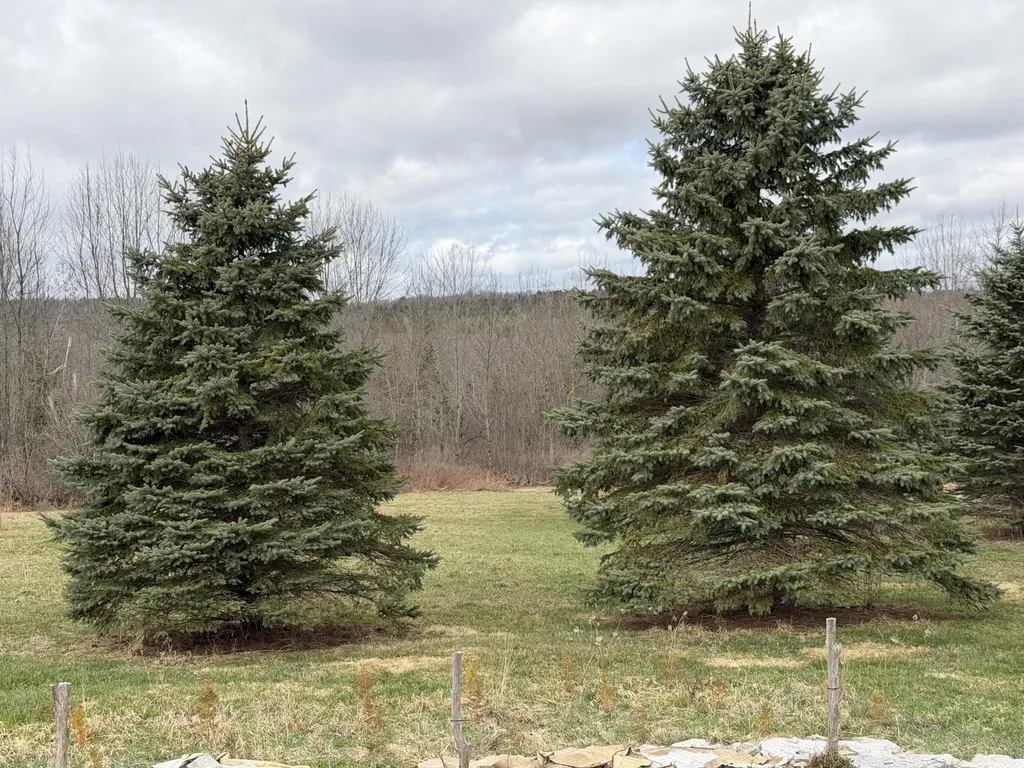 1072 Moosehead Highway Dixmont ME 04932