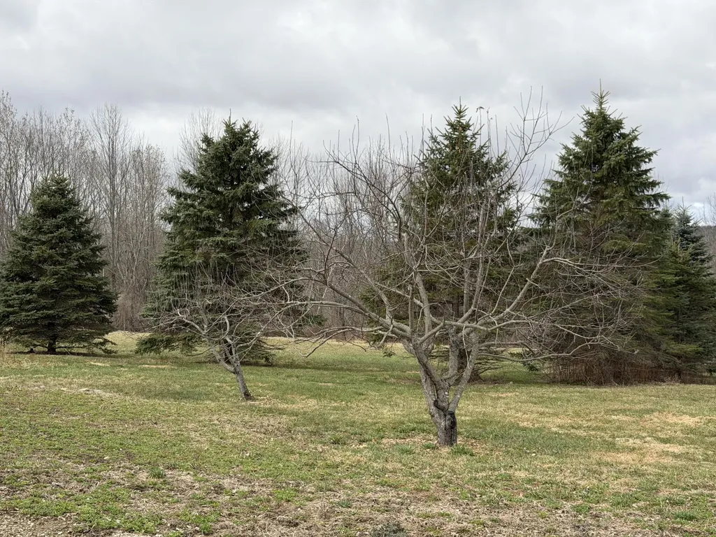 1072 Moosehead Highway Dixmont ME 04932