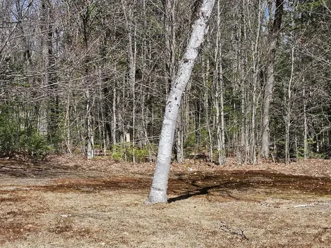 1757 County Road Orneville Twp ME 04463