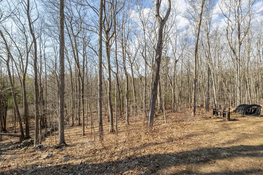 Lot #5 Brown Freehold Road York ME 03909