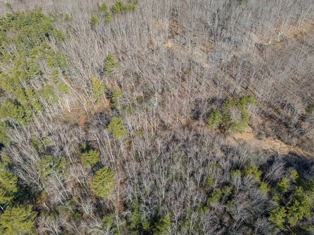 Lot #3 Brown Freehold Road York ME 03909