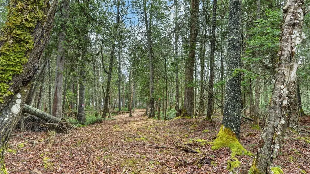 35 Aspen Lane Steuben ME 04680