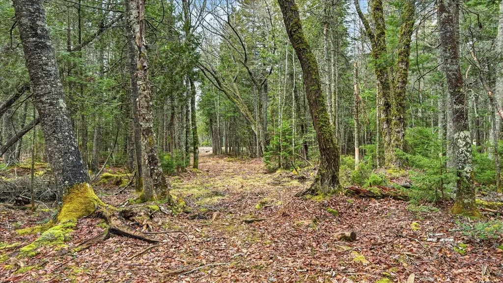 35 Aspen Lane Steuben ME 04680