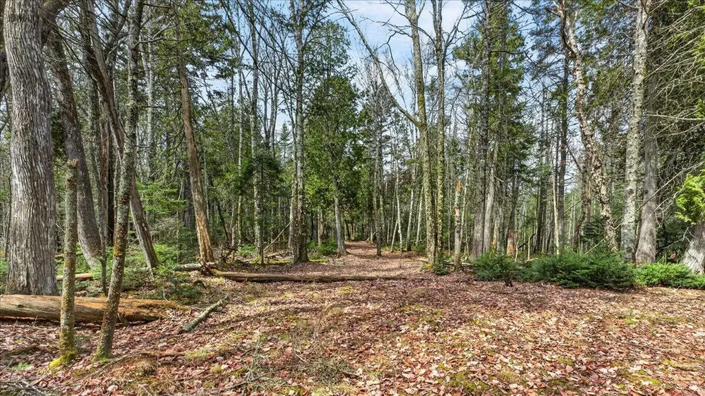 35 Aspen Lane Steuben ME 04680