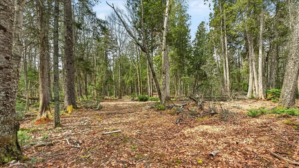 35 Aspen Lane Steuben ME 04680