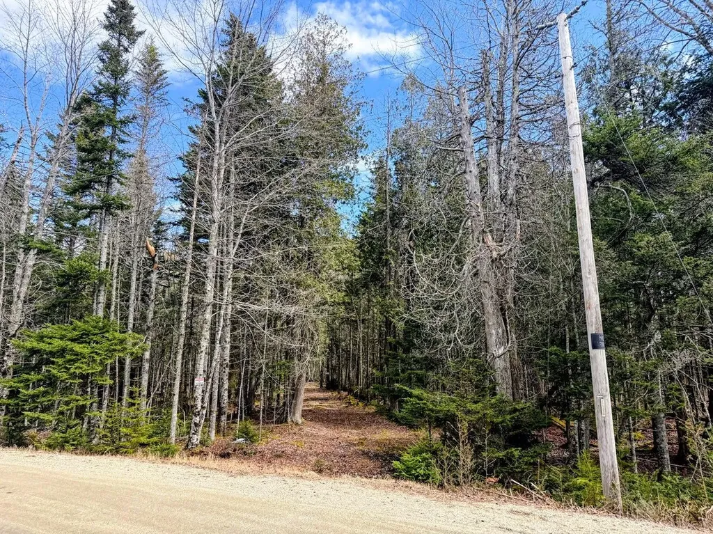 35 Aspen Lane Steuben ME 04680
