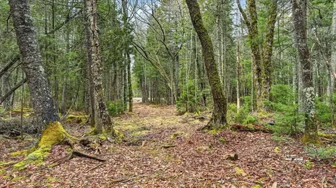 35 Aspen Lane Steuben ME 04680