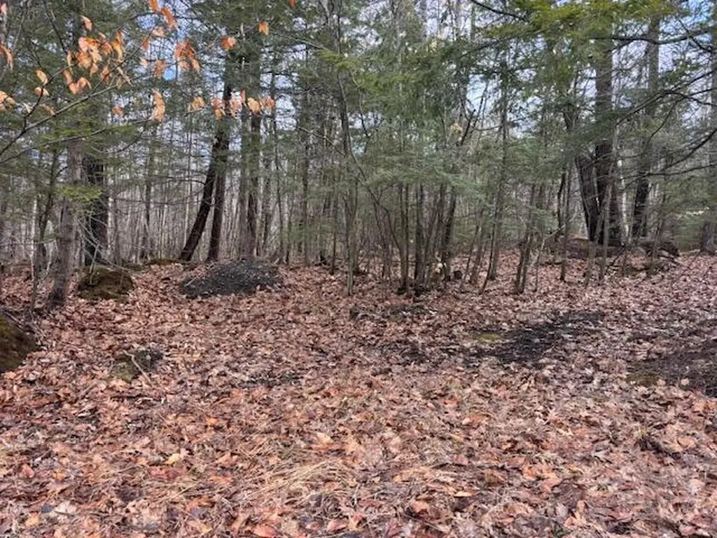 Lot 4 Desert Pond Road Mount Vernon ME 04352