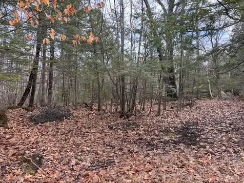 LOT 4 Desert Pond Road Mount Vernon ME 04352