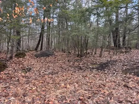 LOT 4 Desert Pond Road Mount Vernon ME 04352