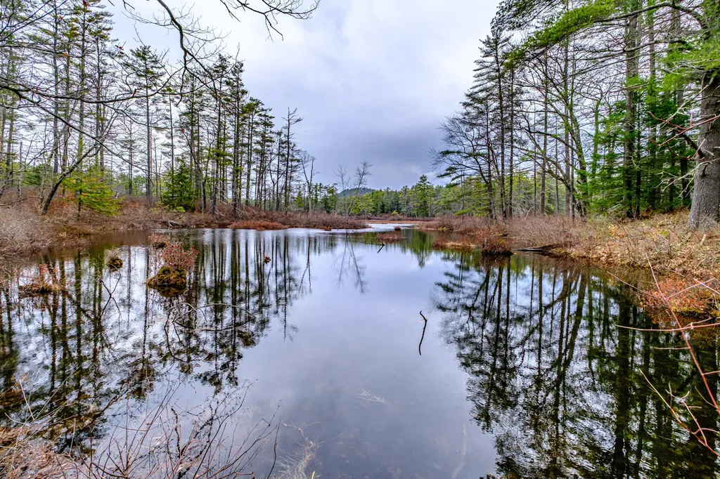 515 Bickford Pond Road Porter ME 04068