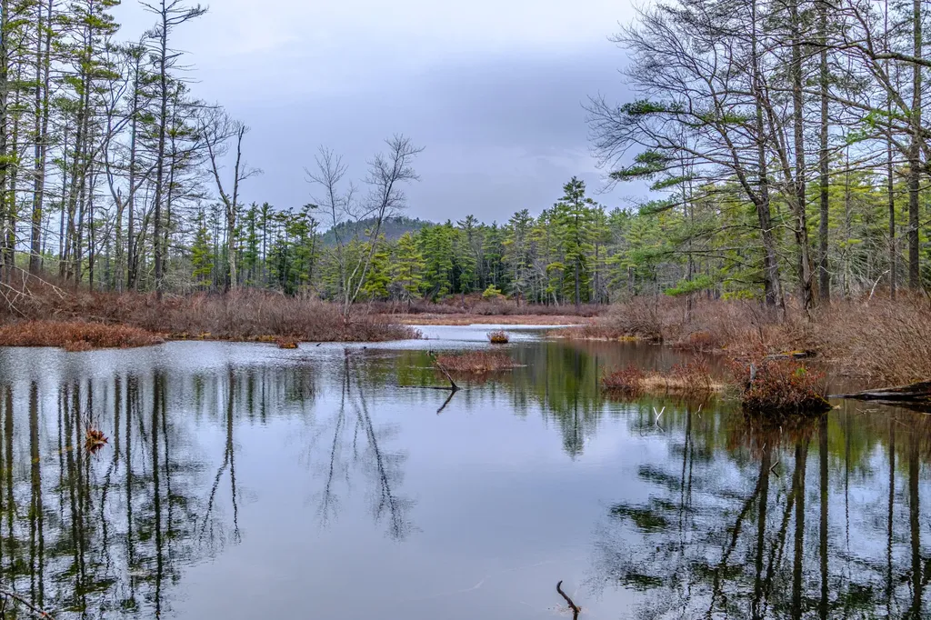 515 Bickford Pond Road Porter ME 04068