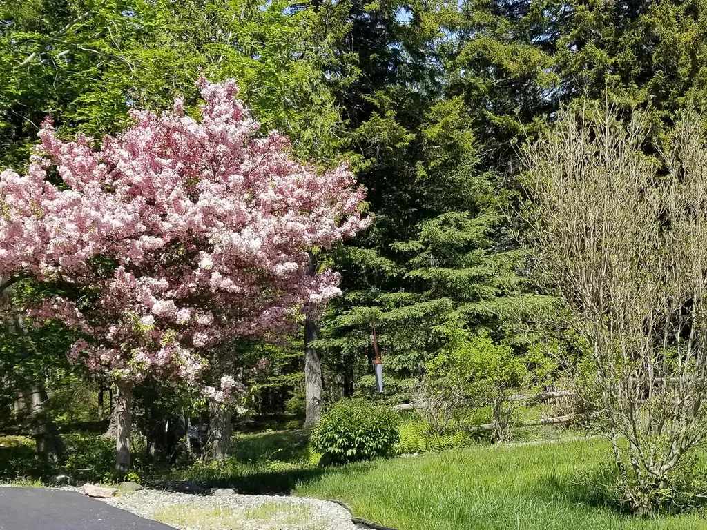 17 Mayflower Lane Bar Harbor ME 04609