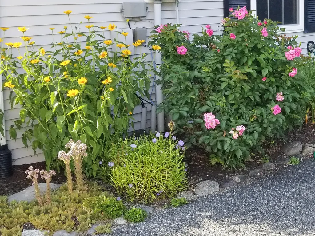 17 Mayflower Lane Bar Harbor ME 04609