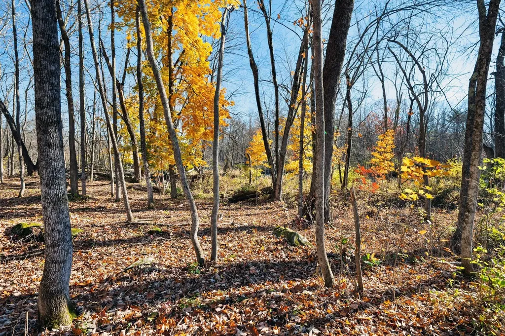 8 River Road Detroit ME 04929
