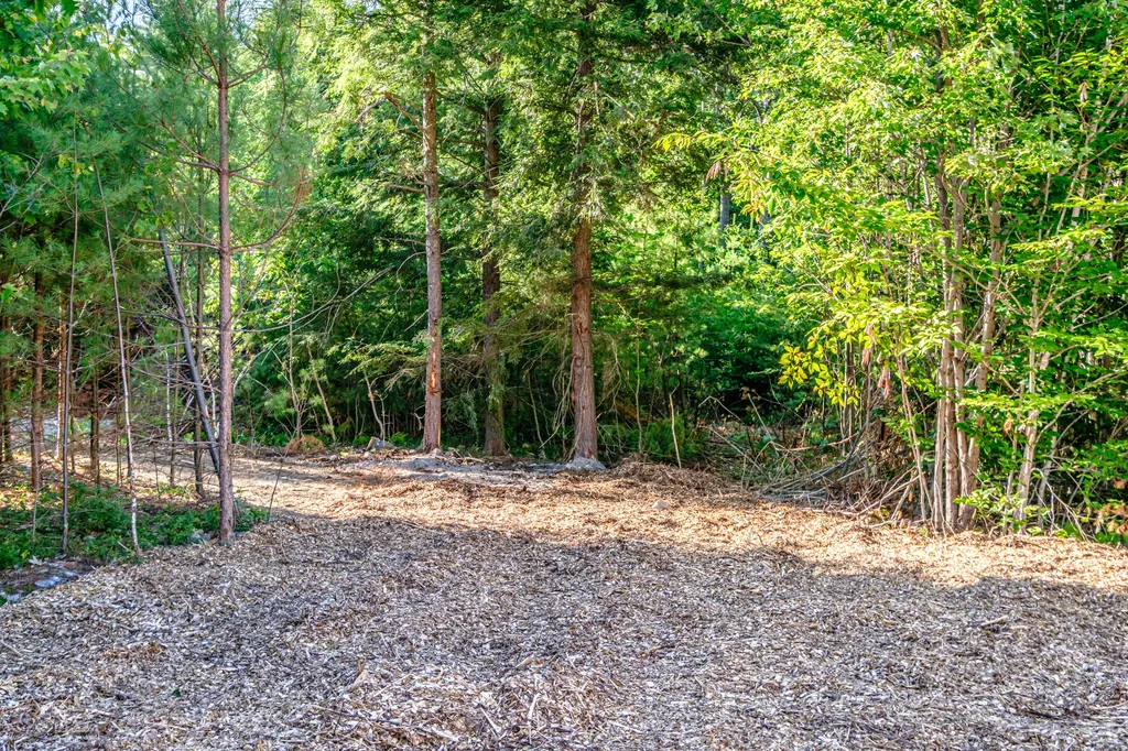 104 Shore Acres Road Parsonsfield ME 04047