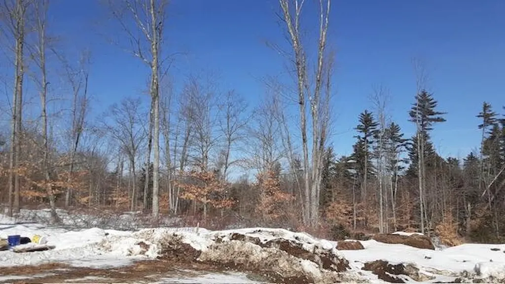 Lot 33 Shore Acres Road Parsonsfield ME 04047