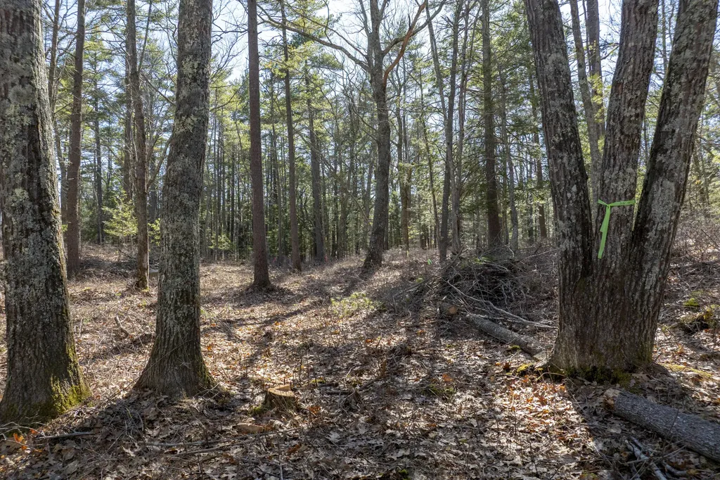 20 Witchtrot Road York ME 03903