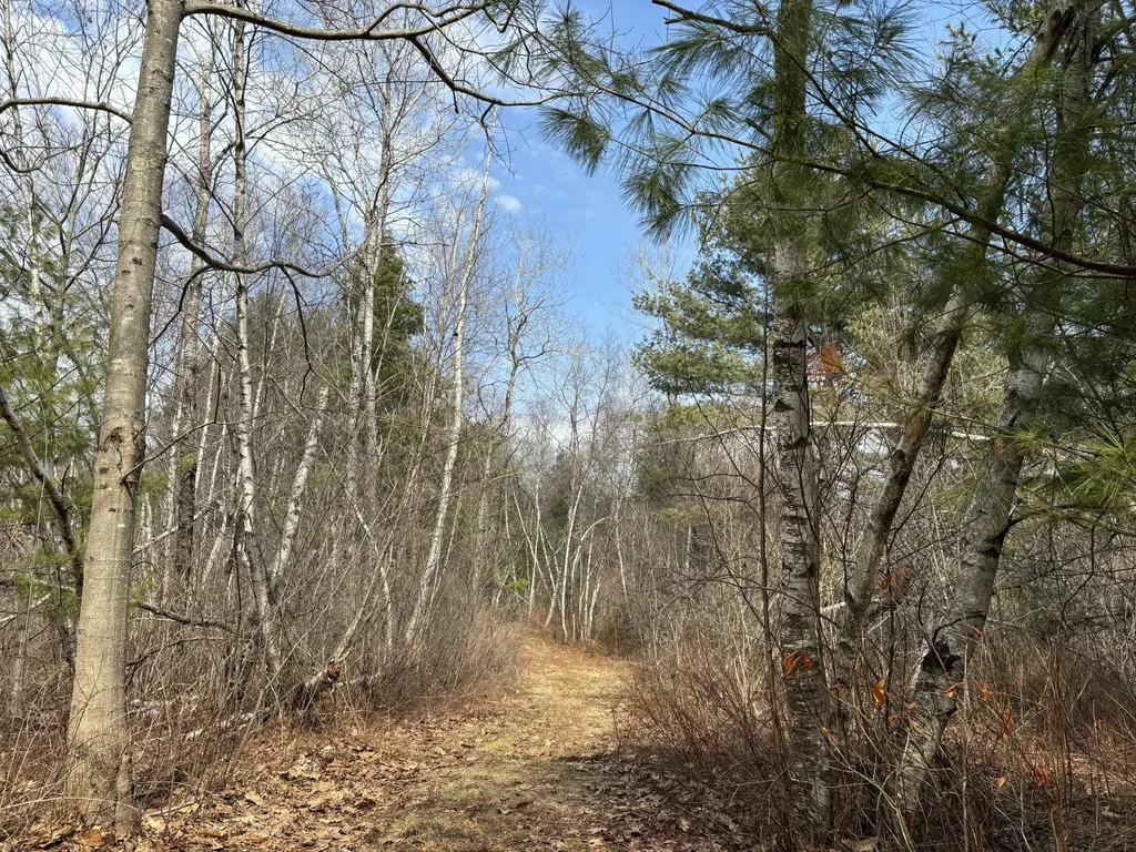82 Tree Farm Road Brunswick ME 04011