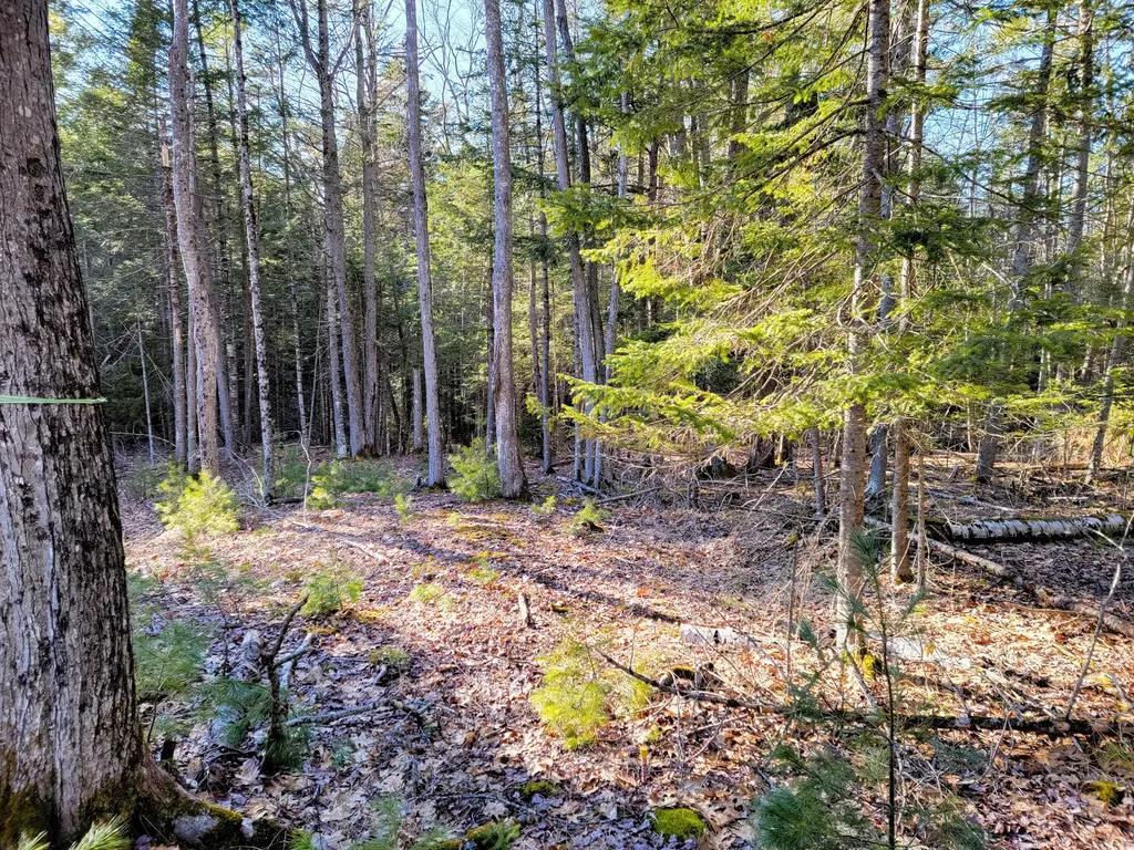 0 Redding Lane Freeport ME 04032