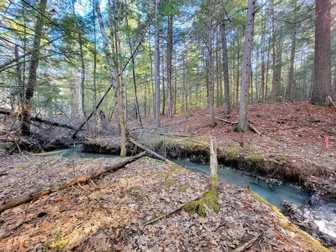 0 Redding Lane Freeport ME 04032