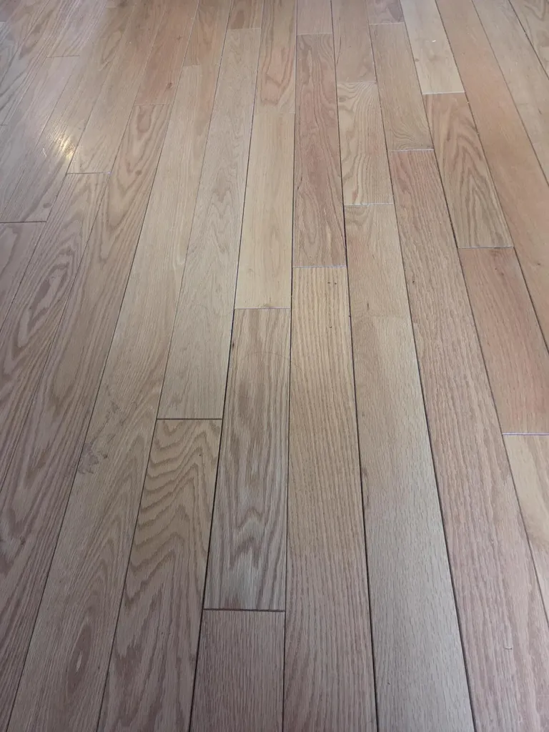 8 Veros Way Winterport ME 04496