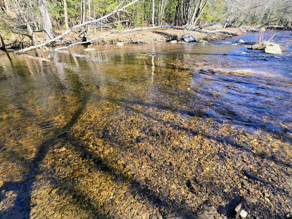 199 Morrill Street Buckfield ME 04220